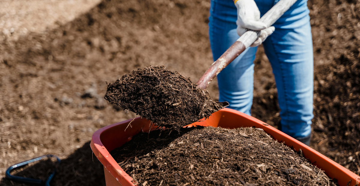 Mulch
